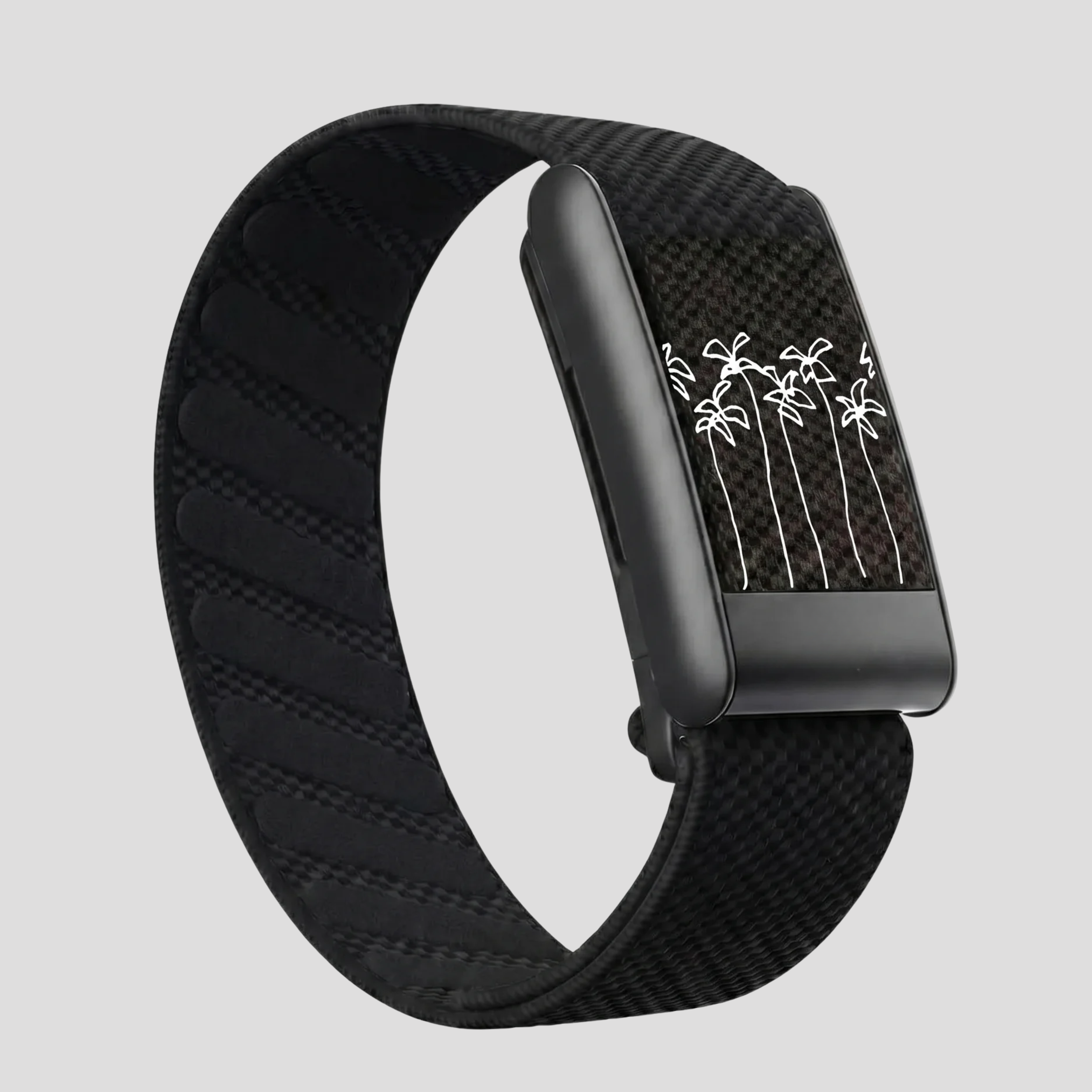No winter zone black